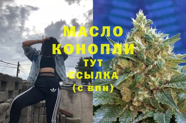 мдпв Сясьстрой